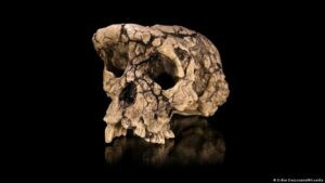 Fósil de homínido reescribe el origen del bipedismo humano – DW – 06/01/2026