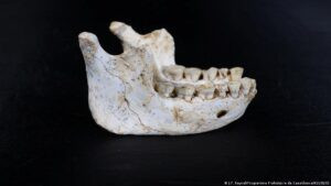 Fósiles de Marruecos redefinirían el origen del Homo sapiens – DW – 08/01/2026