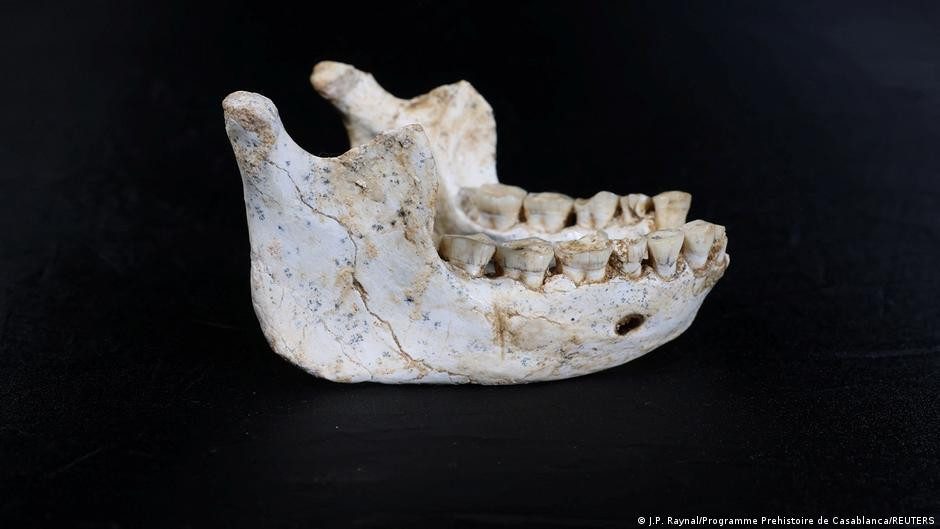 Fósiles de Marruecos redefinirían el origen del Homo sapiens – DW – 08/01/2026