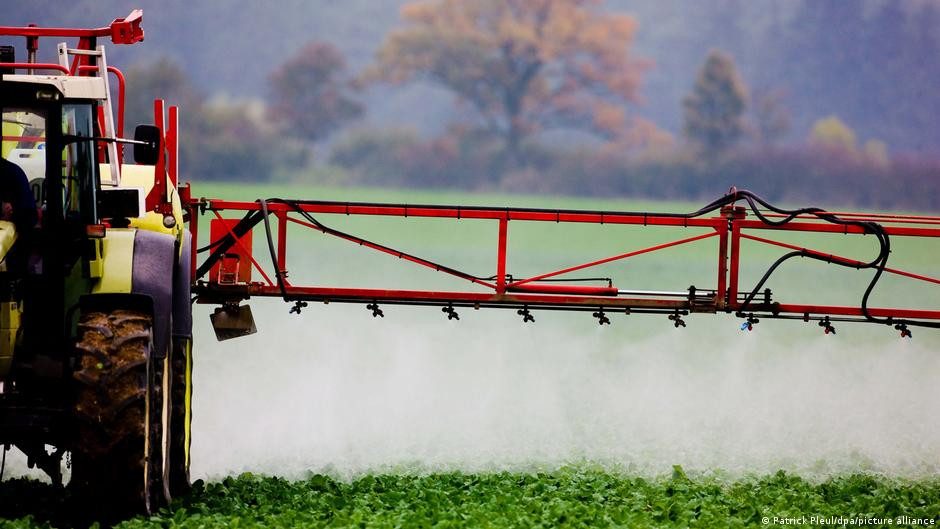 Francia anuncia medidas contra productos sudamericanos – DW – 07/01/2026