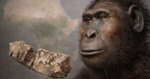 Hallan en Etiopía una mandíbula de 2,6 millones de años del extinto ‘Hombre Cascanueces’ donde no se esperaba