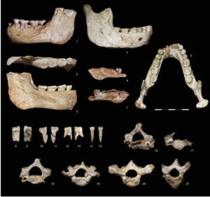 Hallan en Marruecos restos de homínidos de hace 770.000 años que revelan un linaje africano anterior al Homo sapiens | europapress.es