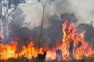 Incendios forestales obligan a evacuar a más de 50.000 personas en Chile