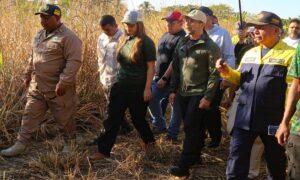 Inspeccionan áreas afectadas por incendios en el Parque Henri Pittier