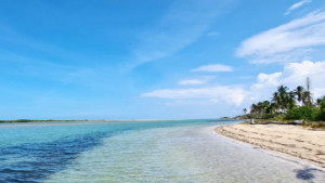 Ir a la playa podría ser beneficioso para el cerebro, según expertos