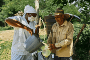 La agricultura tradicional sigue siendo pilar de la Colombia rural