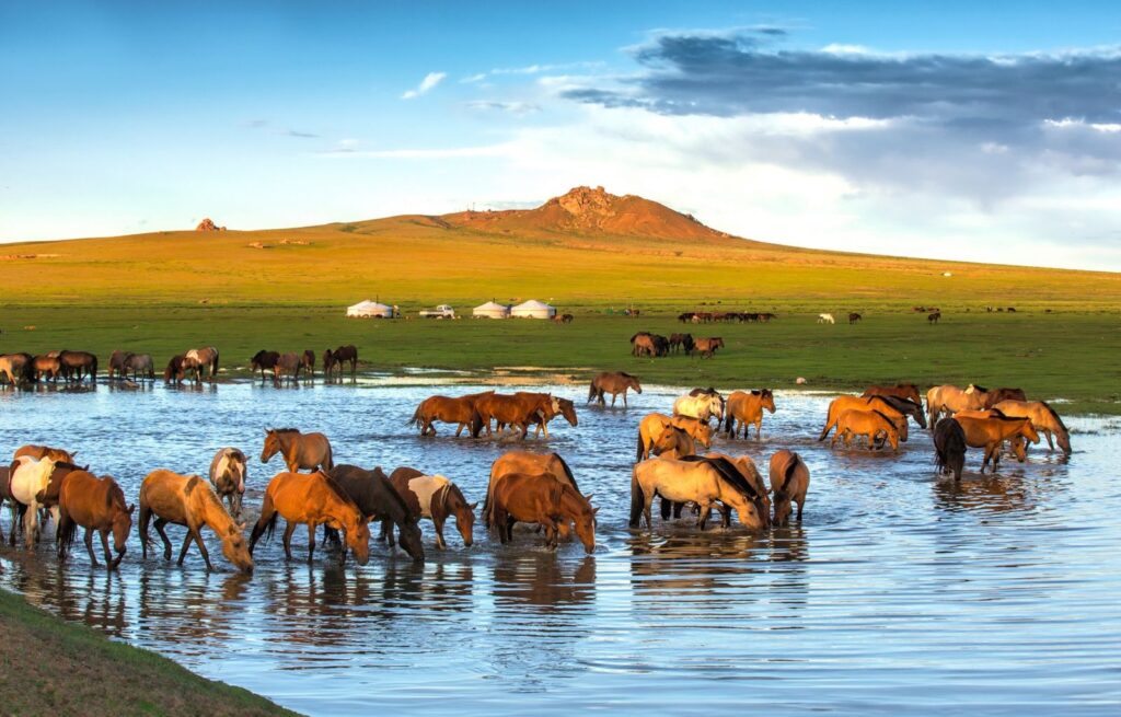 La montaña sagrada de Mongolia donde sobreviven los últimos caballos salvajes y una reserva natural milenaria | National Geographic