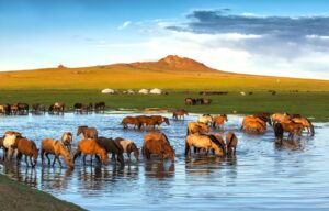 La montaña sagrada de Mongolia donde sobreviven los últimos caballos salvajes y una reserva natural milenaria | National Geographic