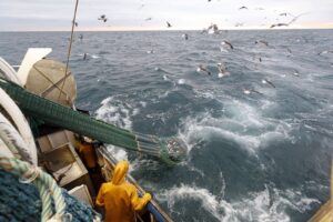 La pesca de arrastre no solo daña la vida marina: también libera CO2 | National Geographic