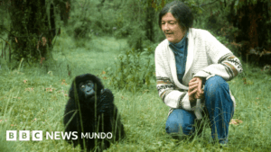 La polémica vida y el misterioso asesinato de Dian Fossey, la zoóloga que inspiró la película «Gorilas en la niebla»