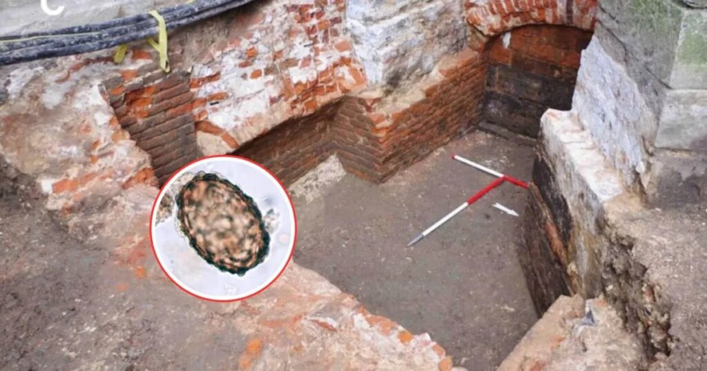Las letrinas medievales de Gante muestran que los parásitos intestinales no distinguían entre clero y población