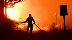 Los fuegos arrasan de nuevo la Patagonia argentina en plenos recortes de los servicios de extinción de incendios | elperiodico.com