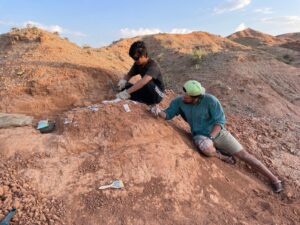 Los huevos fosilizados revelan una nueva forma de datar la era de los dinosaurios | National Geographic