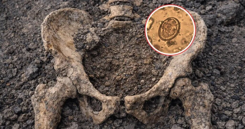 Los parásitos intestinales de los romanos sobrevivieron a la erupción del Vesubio que arrasó Herculano