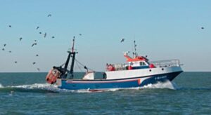 Los pescadores cierran las lonjas este lunes para protestar en Madrid