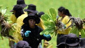 Mayoría de salvadoreños dice que su economía ha desmejorado