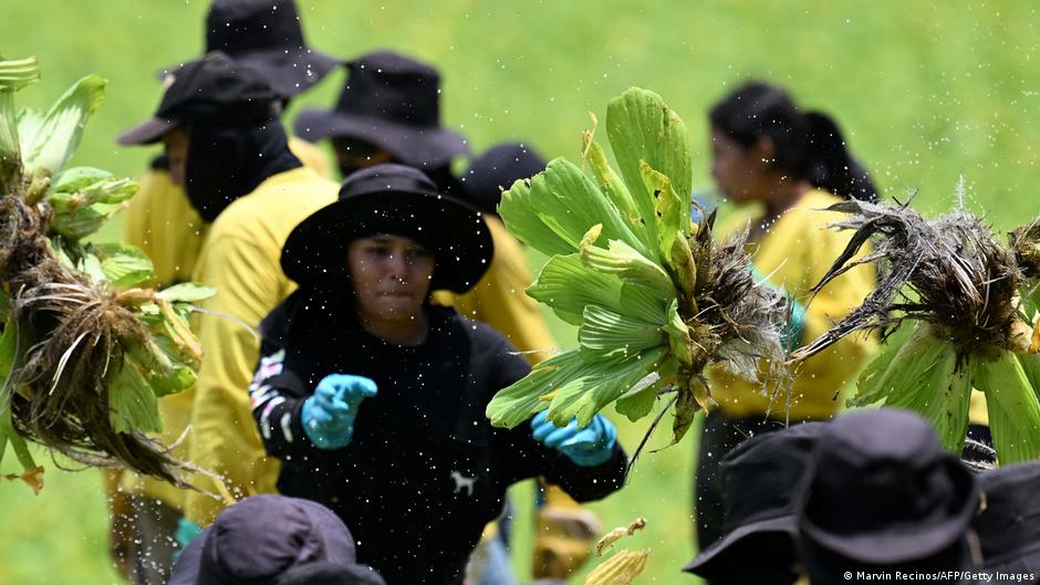 Mayoría de salvadoreños dice que su economía ha desmejorado