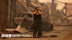 «Muchos no quisieron salir por cuidar sus cosas y ahora están muertos»: los testimonios que muestran la gravedad de los incendios en Chile que dejan al menos 19 muertos