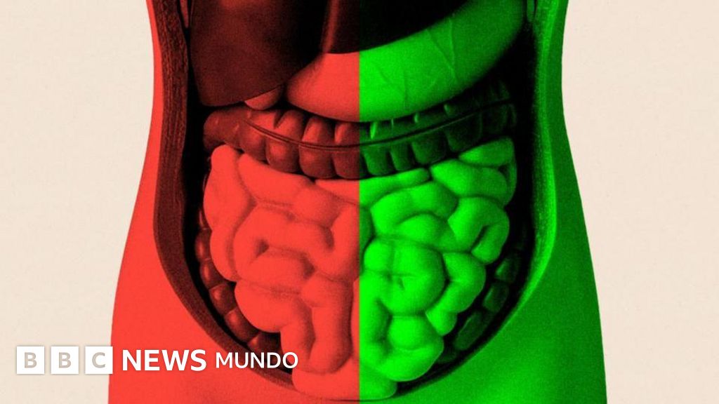 Pasé meses tratando de averiguar si mejorar mi salud intestinal podría ayudarme a envejecer mejor
