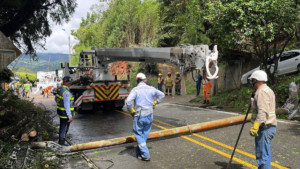 Plan Retorno en Cali | Despejan la vía hacia Buenaventura: retiran árbol y poste que bloqueaban el paso en el corregimiento El Saladito