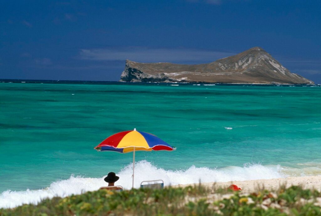 Por qué ir a la playa beneficia al cerebro y la salud mental, según la ciencia | National Geographic