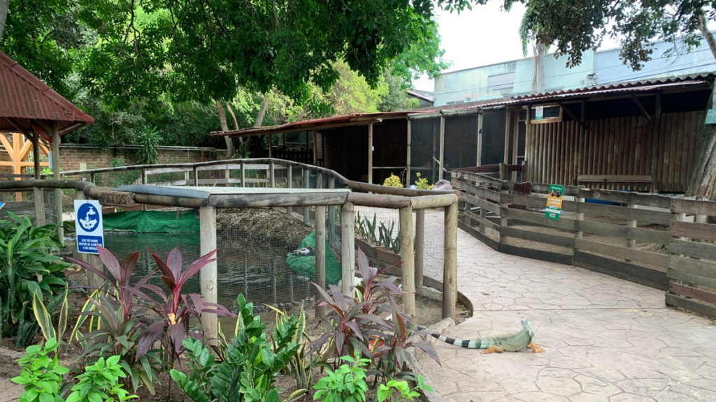 Predio de Argos surge como alternativa real para reubicar el Zoológico de Barranquilla y articularlo al gran eje ambiental del río Magdalena