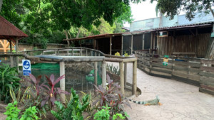 Predio de Argos surge como alternativa real para reubicar el Zoológico de Barranquilla y articularlo al gran eje ambiental del río Magdalena