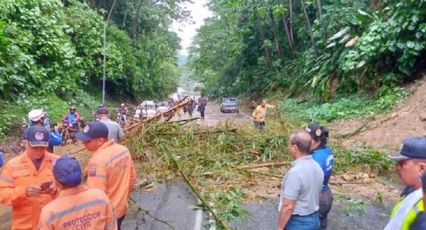 Reportan afectaciones y deslizamiento de tierra en zonas de Mérida tras fuertes lluvias – Diario El Luchador