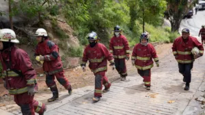 Reportan reducción del 50 % de incendios forestales en Guárico
