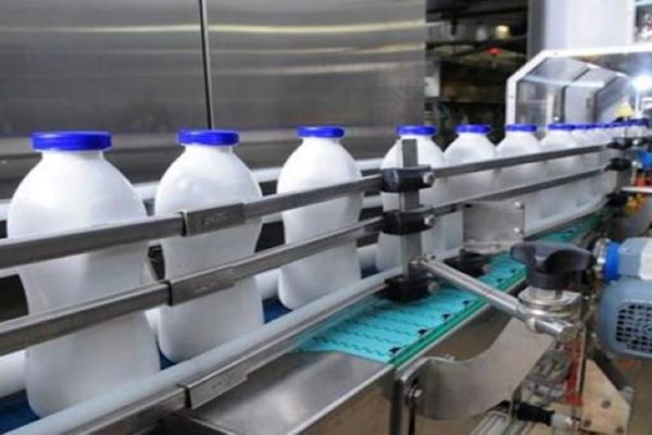 Sector de la industria láctea estima exportar productos bufalinos este año y busca que crezca el rebaño bovino