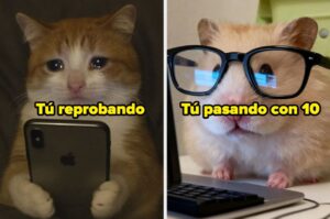Si no pasas este quiz con 10/10 es probable que un niño de primaria escriba mejor que tú