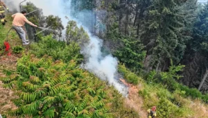 Siete provincias de Argentina en alerta por incendios, que ya arrasaron miles de hectáreas – AlbertoNews
