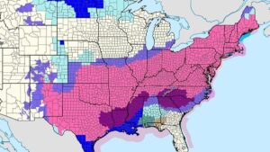 TORMENTA DE NIEVE | Más de un millón de clientes están sin electricidad por la «monstruosa» tormenta que afecta a EEUU | elperiodico.com