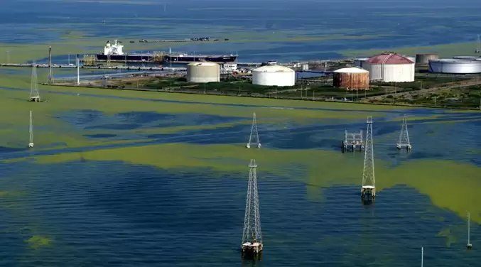 Venezuela entregará a EEUU entre 30 y 50 millones de barriles