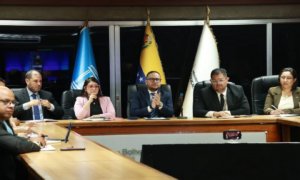 Venezuela participa en videoconferencia internacional con la Unesco