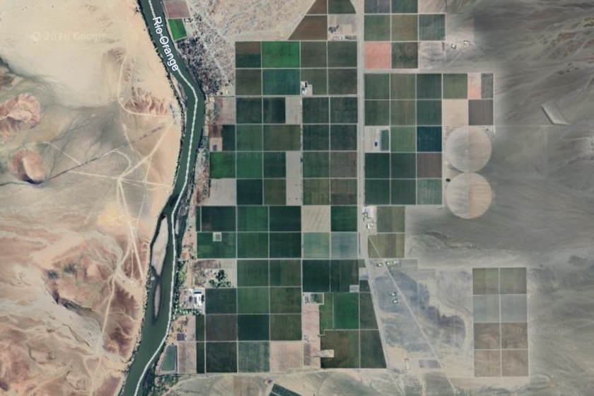 el "milagro" de Namibia para llenar de uvas los supermercados de Europa