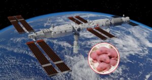 qué revela este experimento sobre la vida fuera de la Tierra