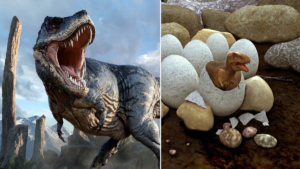 ¿Cuánto tardaba un T. rex en ser adulto? Nuevos hallazgos muestran que su crecimiento era lento para un depredador tan temible