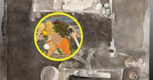 ¿Los esclavos de la antigua Pompeya comían mejor que los ciudadanos libres? Esto es lo que revelan los nuevos datos arqueológicos