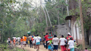 ¿Otro Catatumbo? Personería de Cali alerta por desplazamiento masivo de más de 200 familias desde Buenos Aires, Cauca