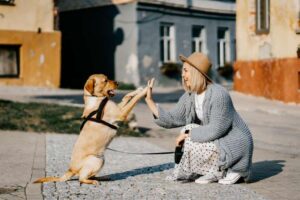 ¿Pueden los perros detectar las emociones de sus dueños?