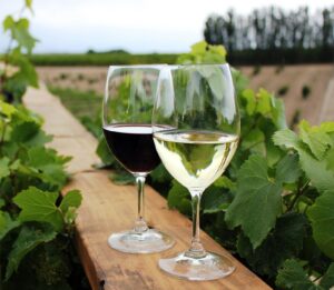 ¿Qué bebida se creó primero: el vino o la cerveza? | National Geographic