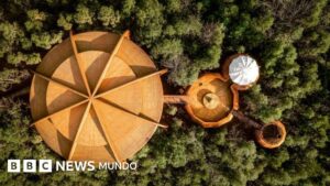 10 de las casas construidas en árboles más espectaculares del mundo (y una de ellas se encuentra en México)