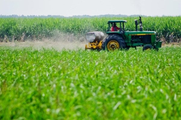 Agroindustria puede aumentar su oferta exportable entre 25% y 40% en un contexto de bonanza petrolera