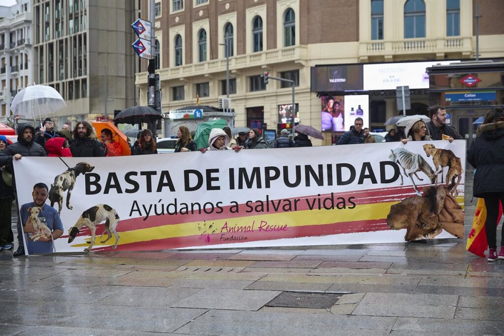 "Aparecen en condiciones terribles y no los protegen"