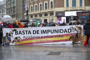 «Aparecen en condiciones terribles y no los protegen» | europapress.es
