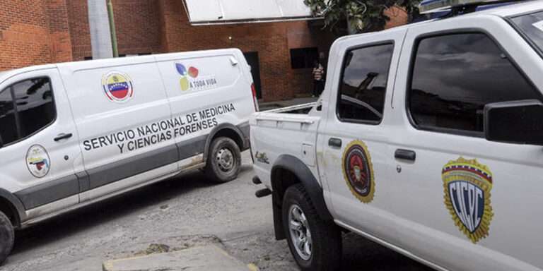 Asesina accidentalmente a su hermanastro de ocho años