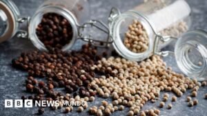 Cómo la pimienta negra y el aceite de oliva potencian los nutrientes de los alimentos que comemos
