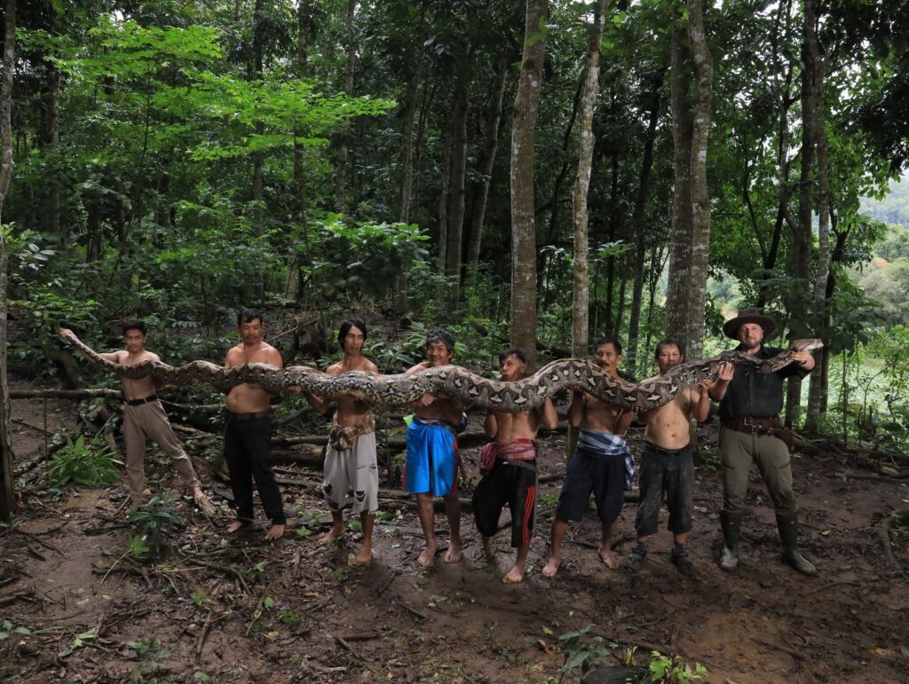 Conoce a "La Baronesa”, la pitón reticulada que rompió el récord como la serpiente salvaje más larga del mundo | National Geographic