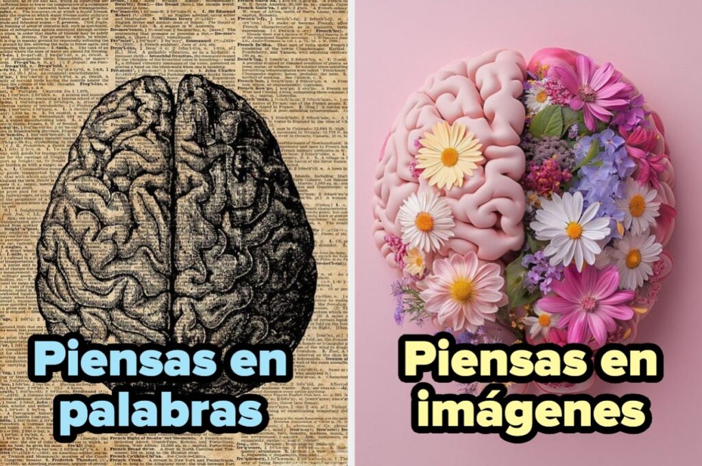 Descubre si piensas en palabras o en imágenes